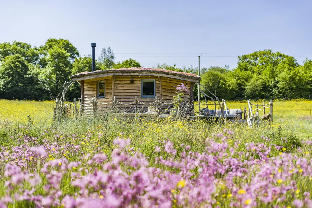 Cabin view amidst the pink Ragged Robin Wildflowers, Luxury Glamping Cabin Carmarthenshire, West Wales