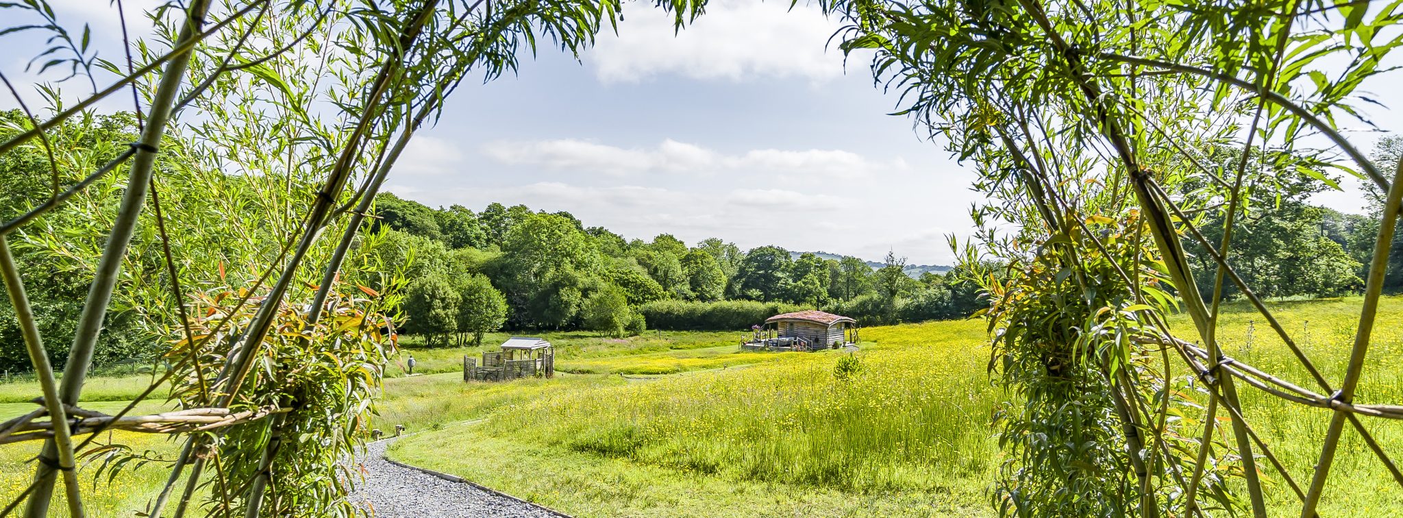 Willow tunnel entrance with paths through the meadow leading to the Cabin at Erwain Escapes