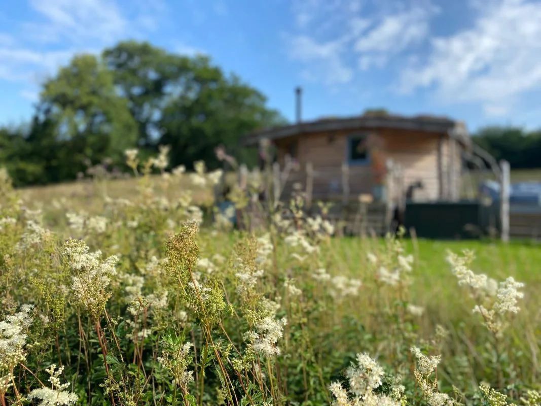 A glimpse of the Cabin among the Meadowsweet, Glamping Cabin Carmarthenshire with Hot Tub
