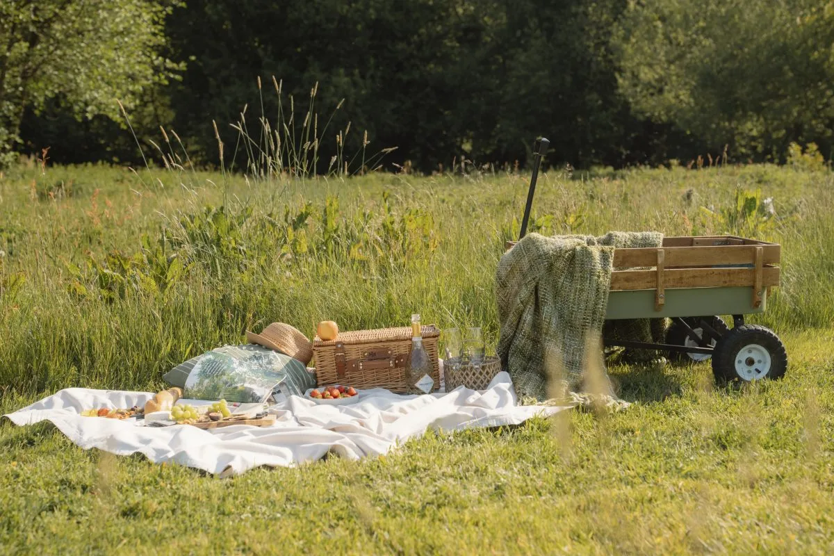 Picnic in the meadow - Luxury Glamping Cabins with Hot Tubs, Brecon Beacons