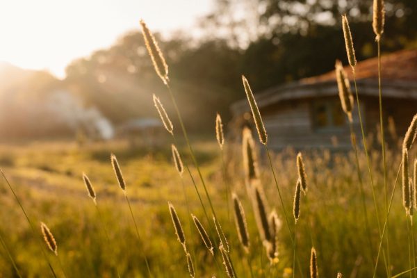 The Cabin, nestled in the meadow at Golden Hour - Luxury Glamping, near the Brecon Beacons