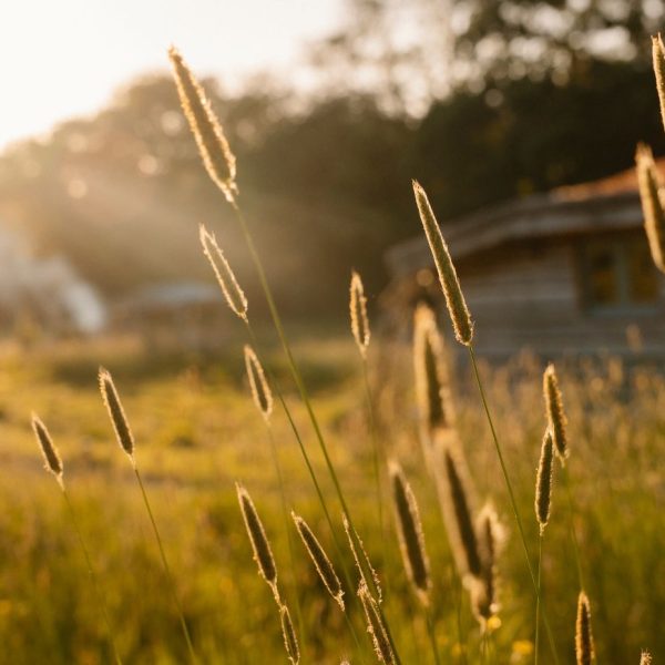 The Cabin, nestled in the meadow at Golden Hour - Luxury Glamping, near the Brecon Beacons