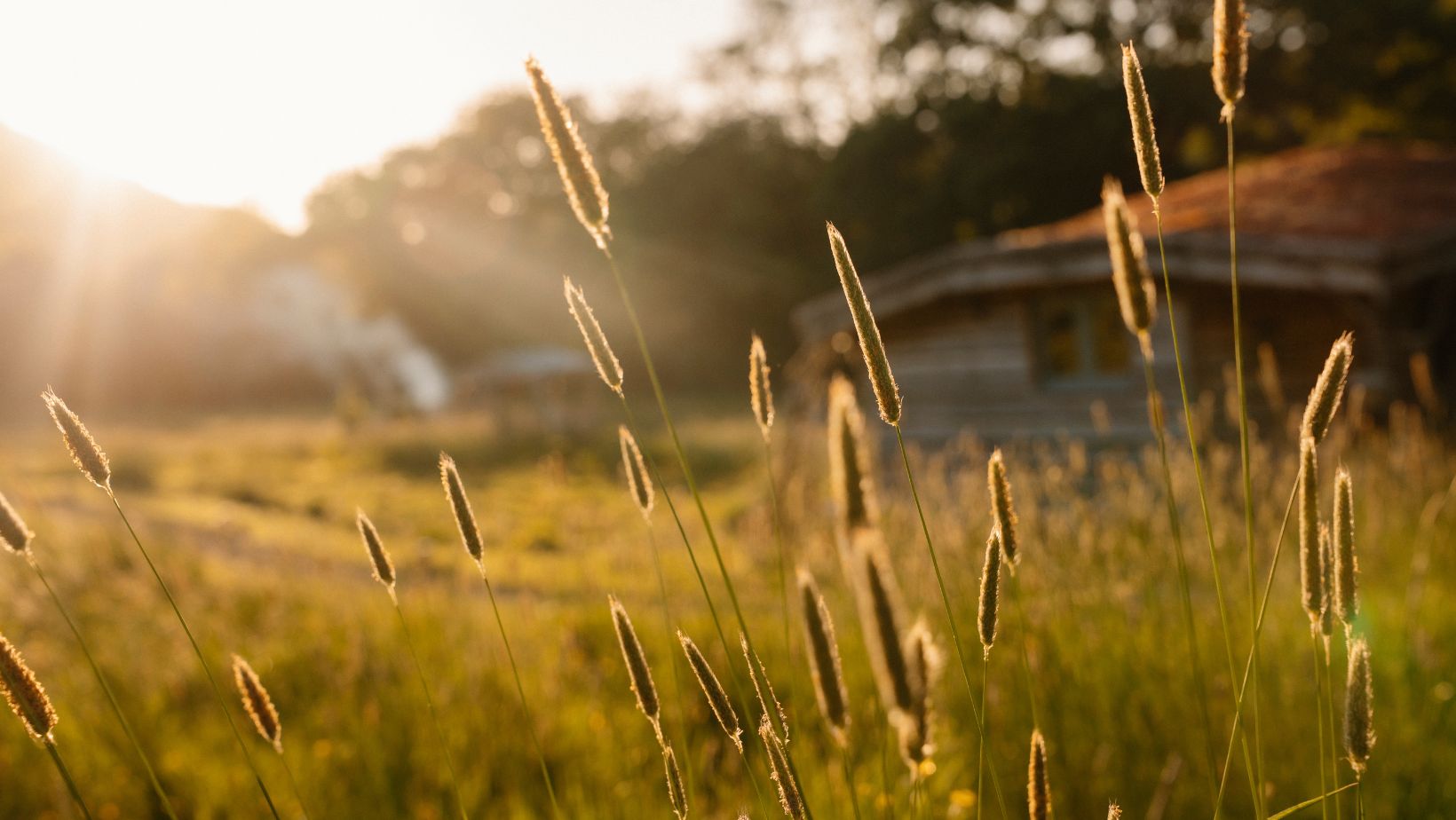 The Cabin, nestled in the meadow at Golden Hour - Luxury Glamping, near the Brecon Beacons