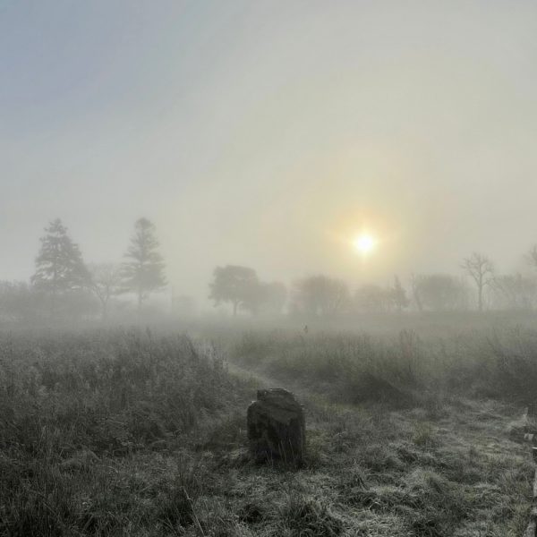Erwain Escapes Rewilding Meadows - Luxury Glamping Cabin Carmenthenshire, West Wales