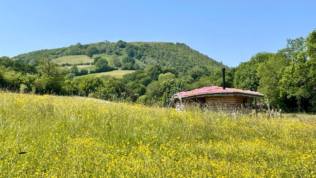 The cabin nestled in field of wild yellow buttercups under a clear blue sky, Luxury Glamping Carmarthenshire West Wales